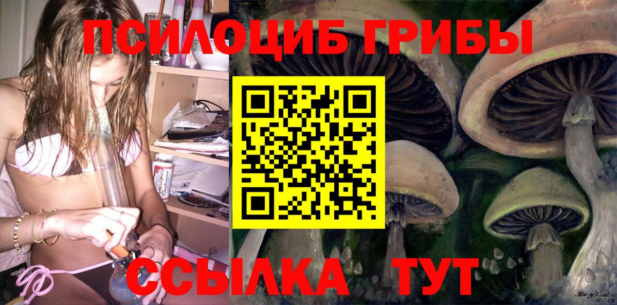 Галлюциногенные грибы Psilocybine cubensis Можайск