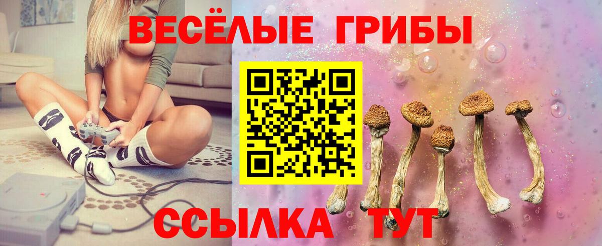 Псилоцибиновые грибы Psilocybe  цена   Можайск  Вход с VPN  Галлюциногенные грибы мухоморы 